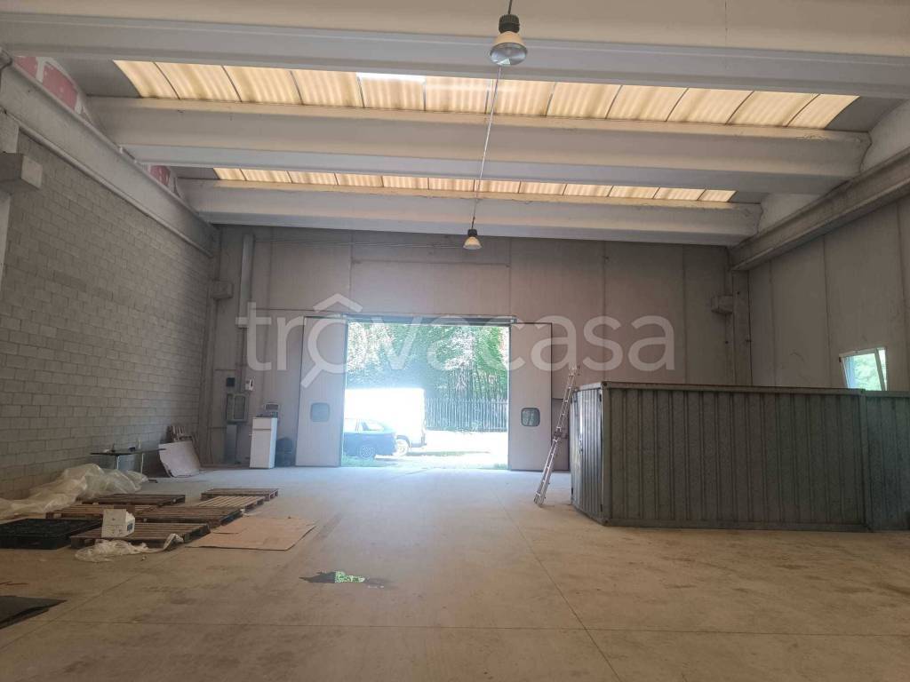 immagine annuncio 2 di 13