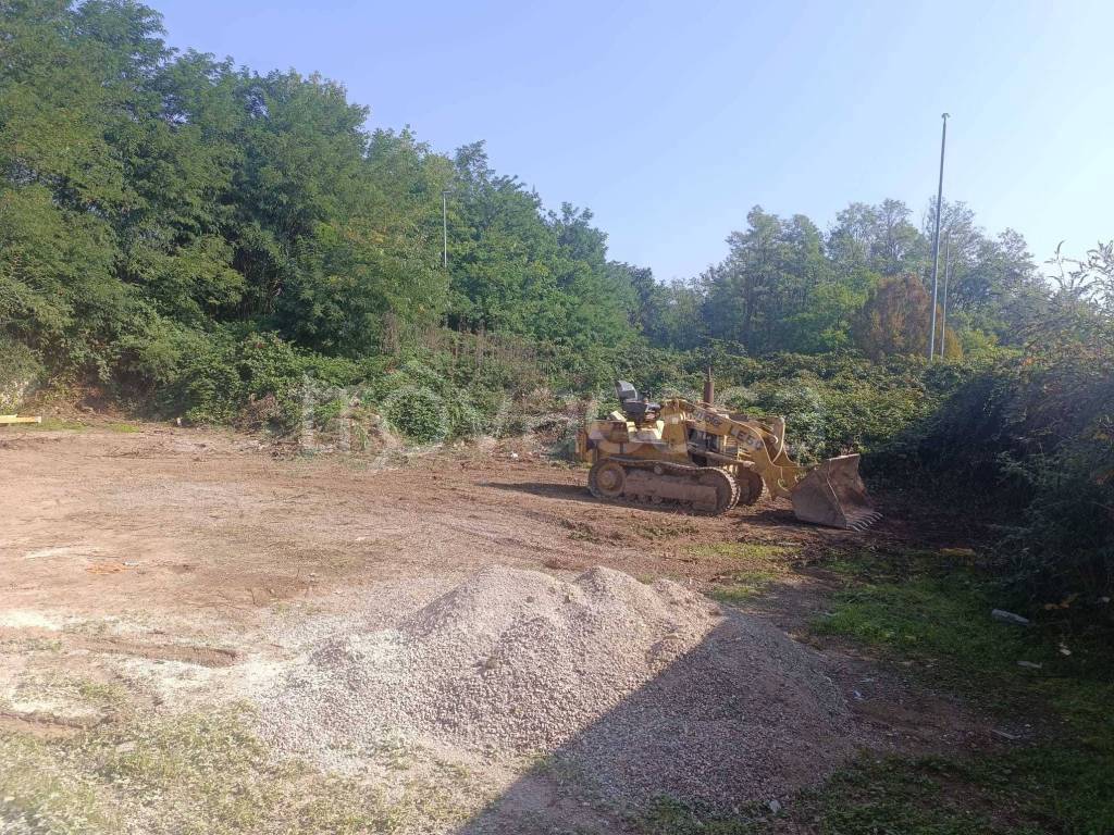 immagine annuncio 12 di 13