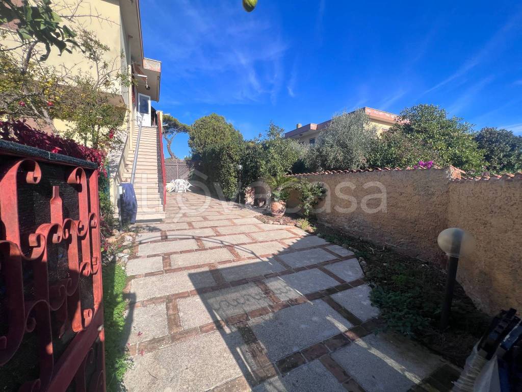 immagine annuncio 12 di 14