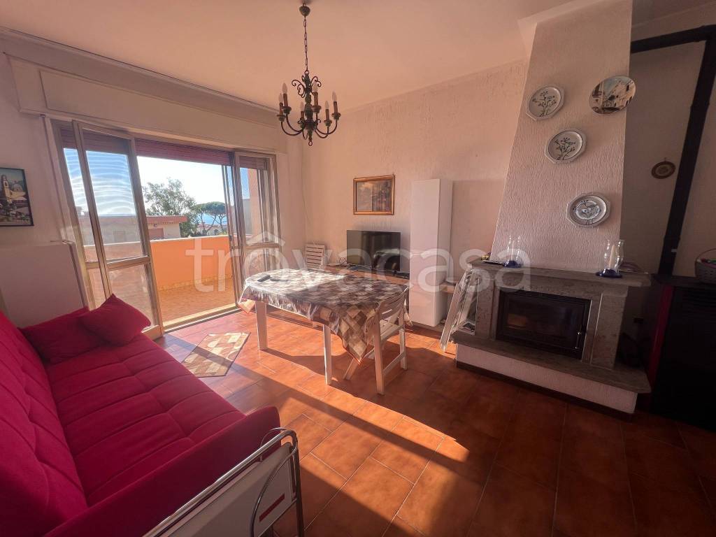 immagine annuncio 3 di 14