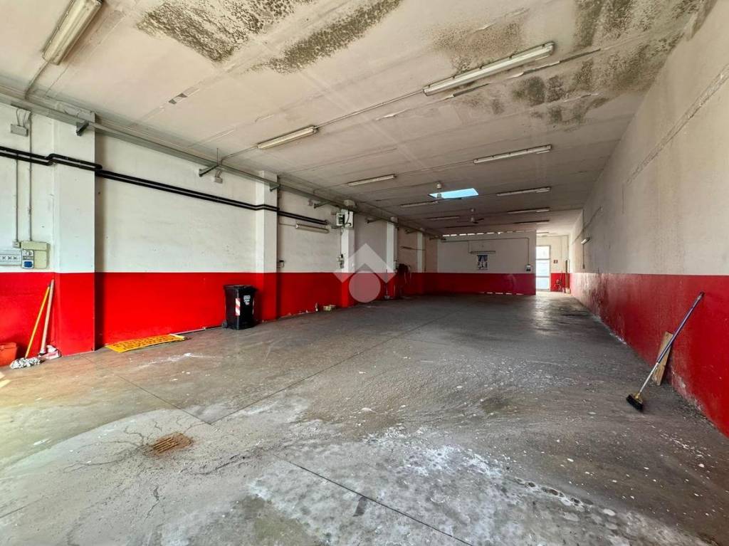 immagine annuncio 1 di 6