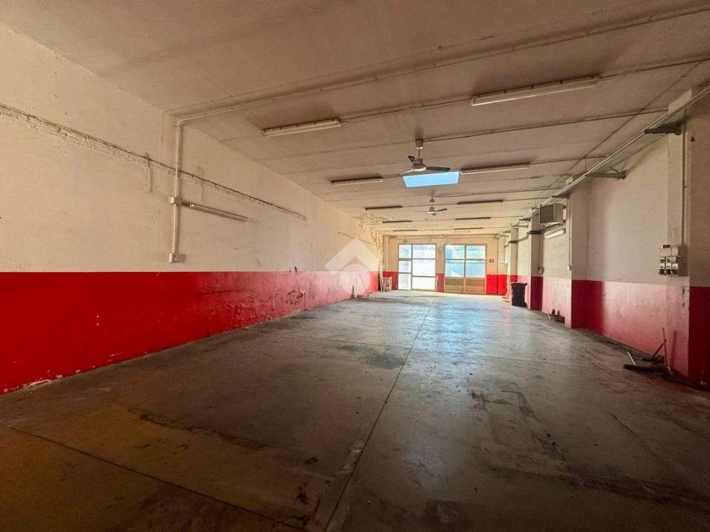 immagine annuncio 2 di 6