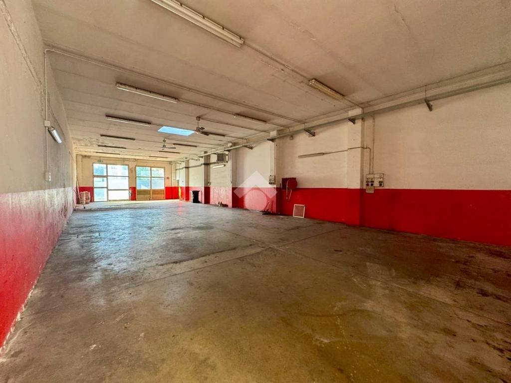 immagine annuncio 3 di 6