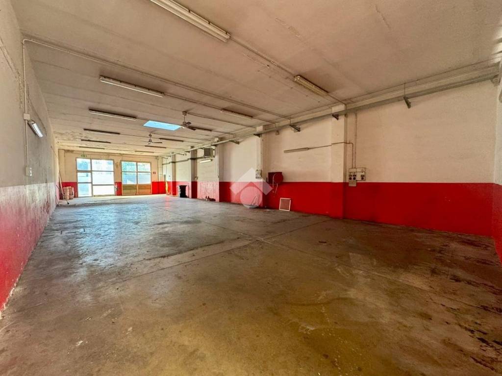 immagine annuncio 4 di 6