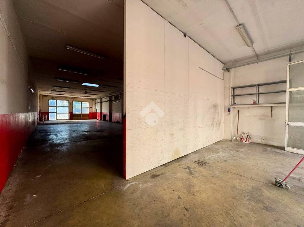 immagine annuncio 5 di 6