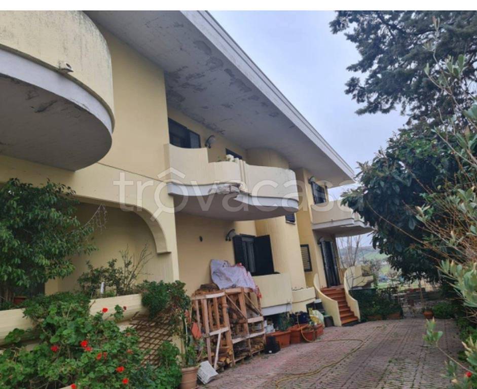 immagine annuncio 8 di 13