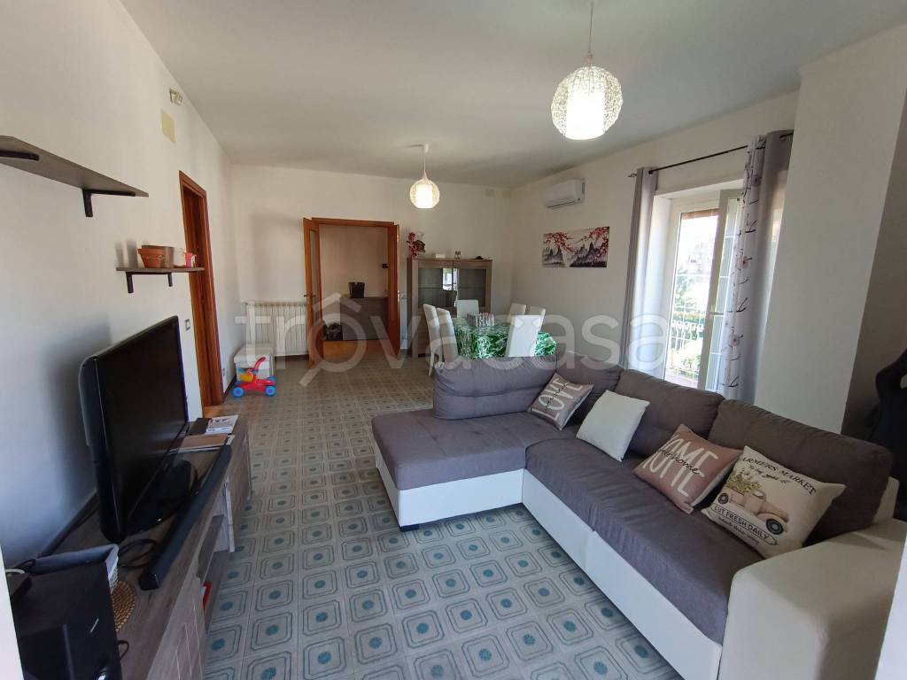 immagine annuncio 5 di 12