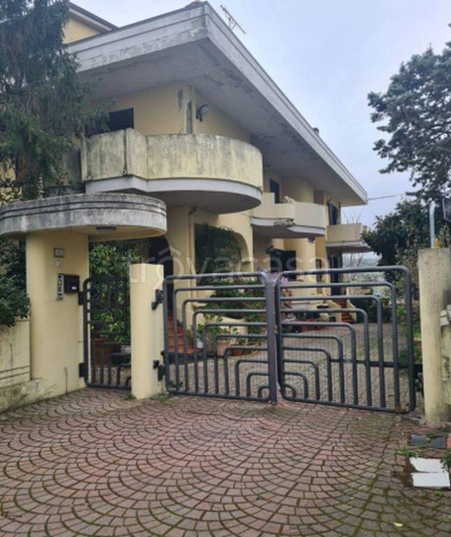 immagine annuncio 12 di 13