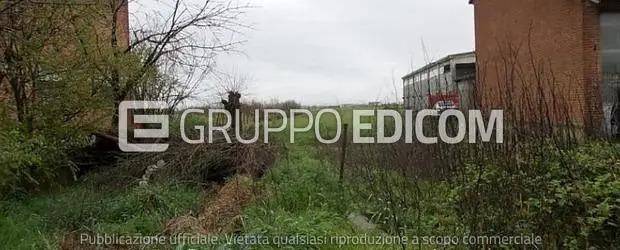 immagine annuncio 10 di 15