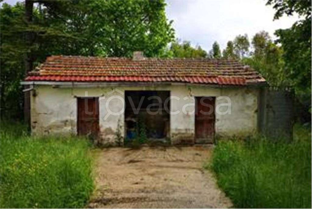 immagine annuncio 4 di 14