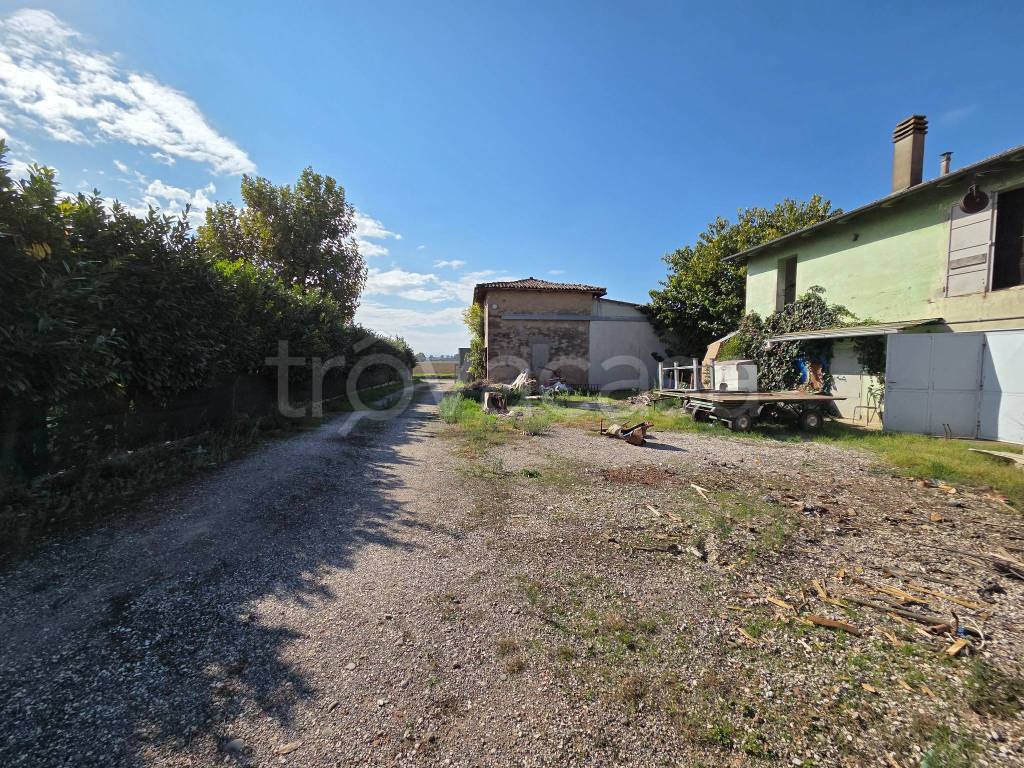 immagine annuncio 3 di 8