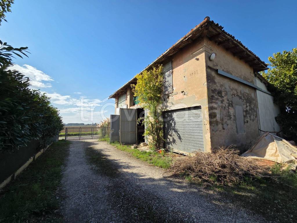 immagine annuncio 2 di 8