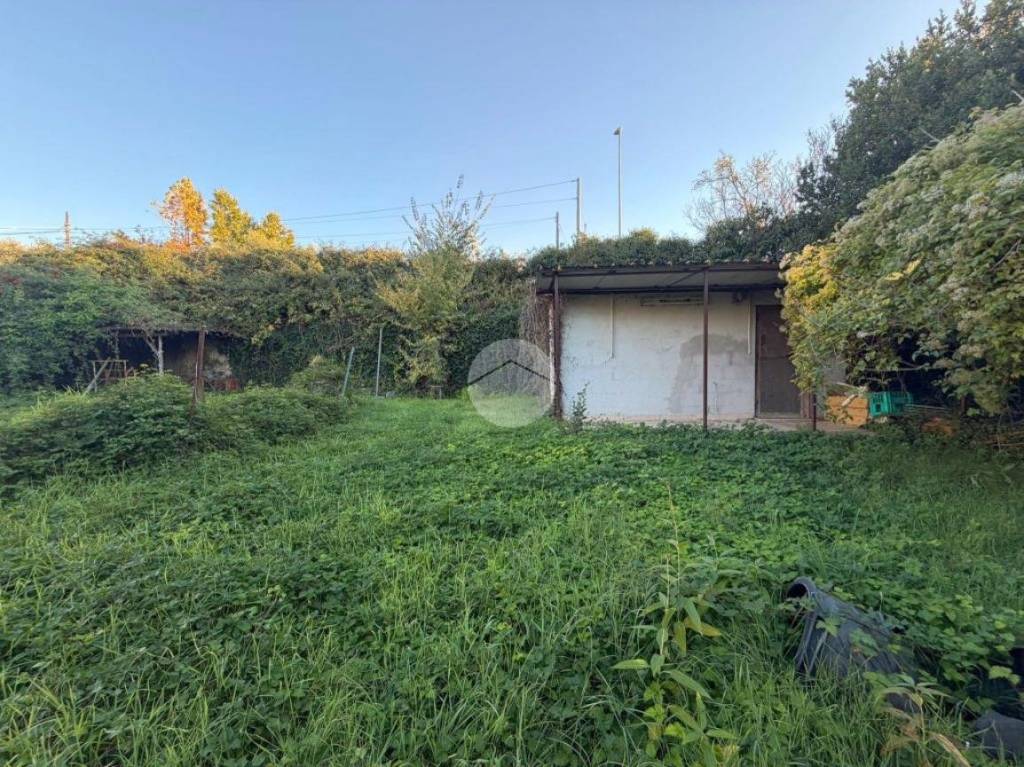 immagine annuncio 7 di 13