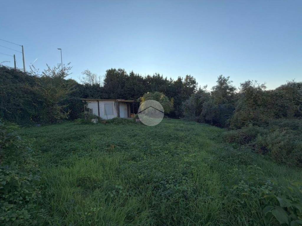 immagine annuncio 8 di 13