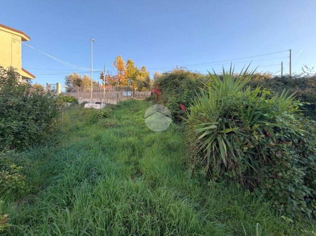 immagine annuncio 11 di 13