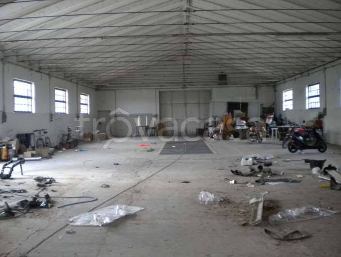 immagine annuncio 2 di 7