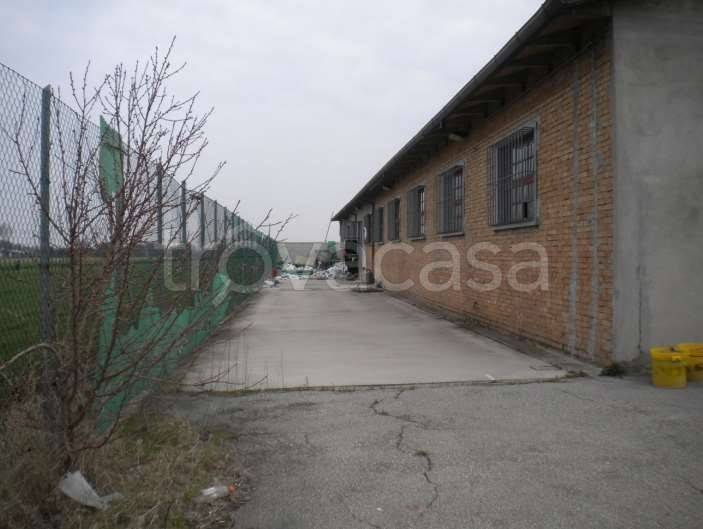 immagine annuncio 6 di 7