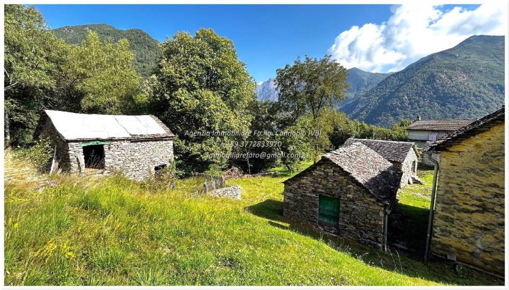 immagine annuncio 10 di 15