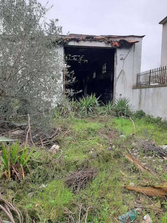 immagine annuncio 2 di 6