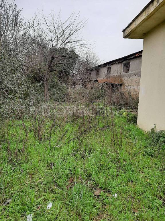 immagine annuncio 3 di 6