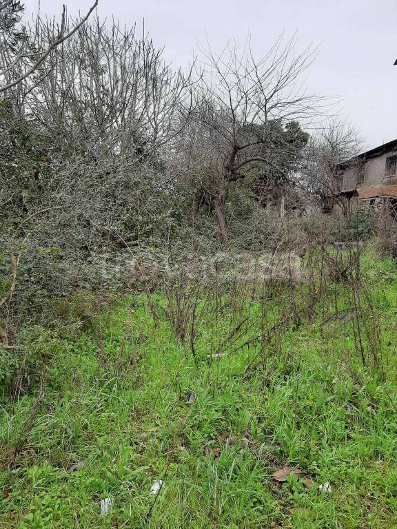 immagine annuncio 4 di 6