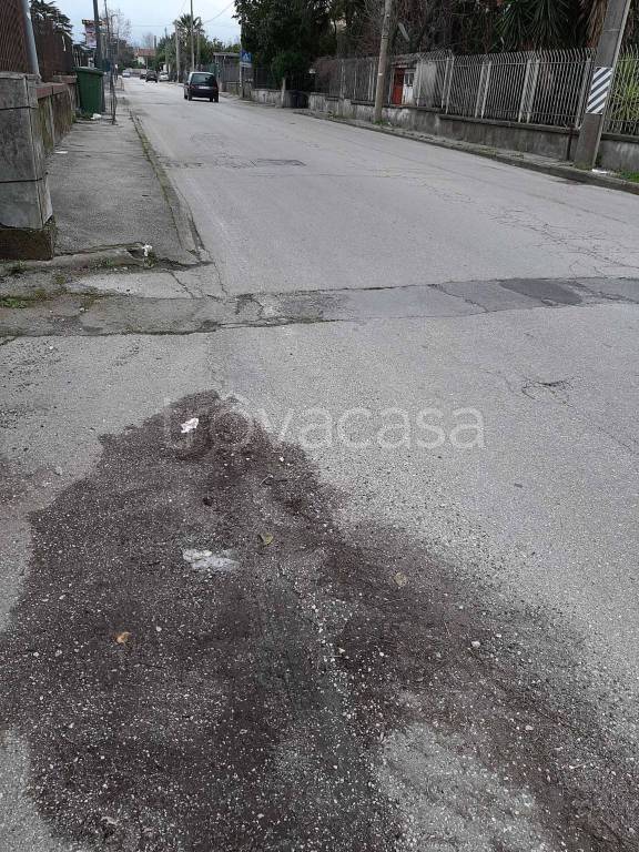 immagine annuncio 5 di 6