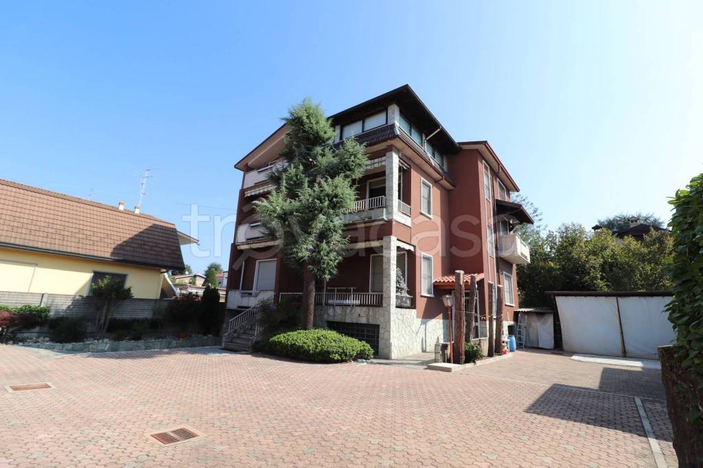 immagine annuncio 2 di 14