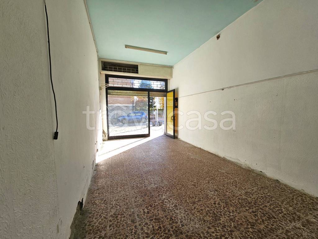 immagine annuncio 2 di 8