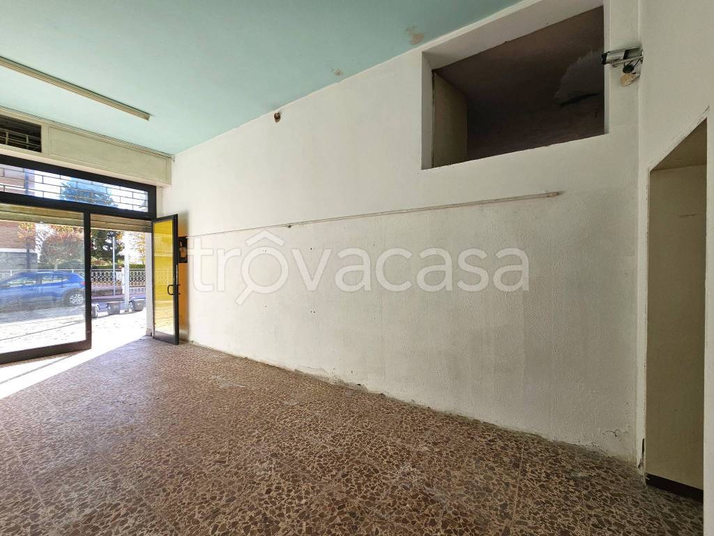 immagine annuncio 3 di 8