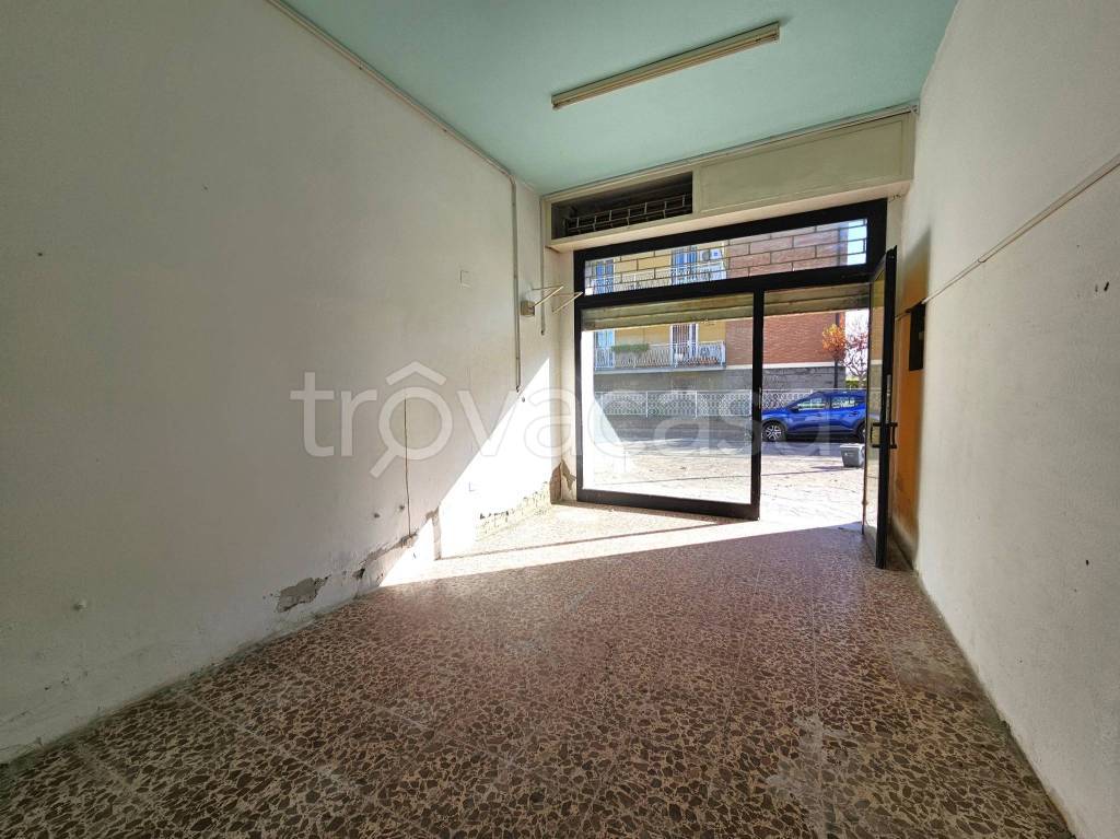 immagine annuncio 5 di 8