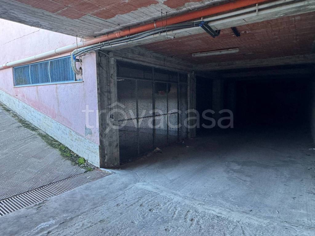 immagine annuncio 5 di 7