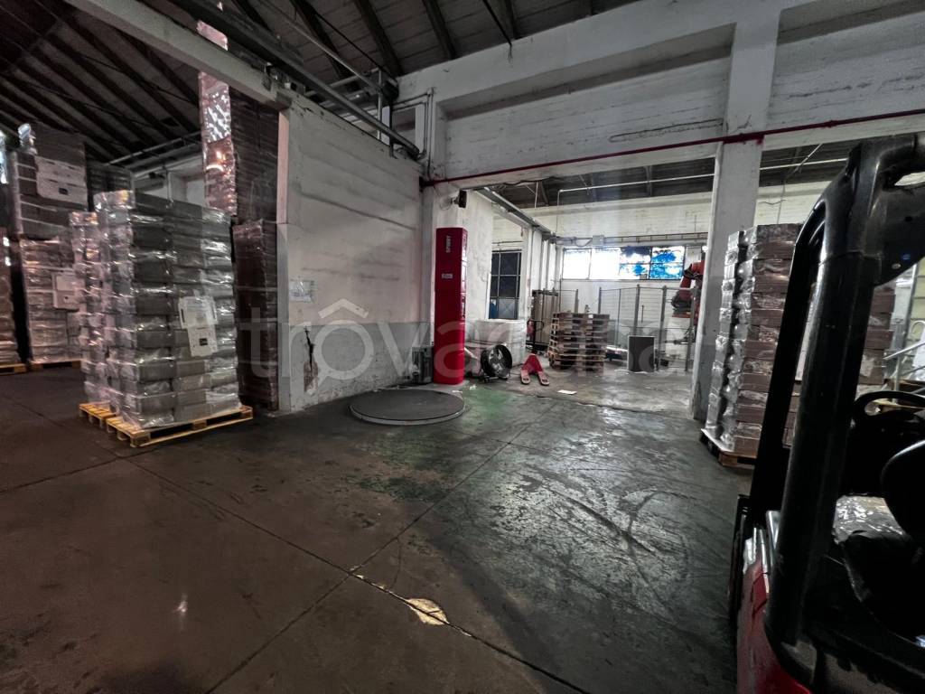 immagine annuncio 11 di 15