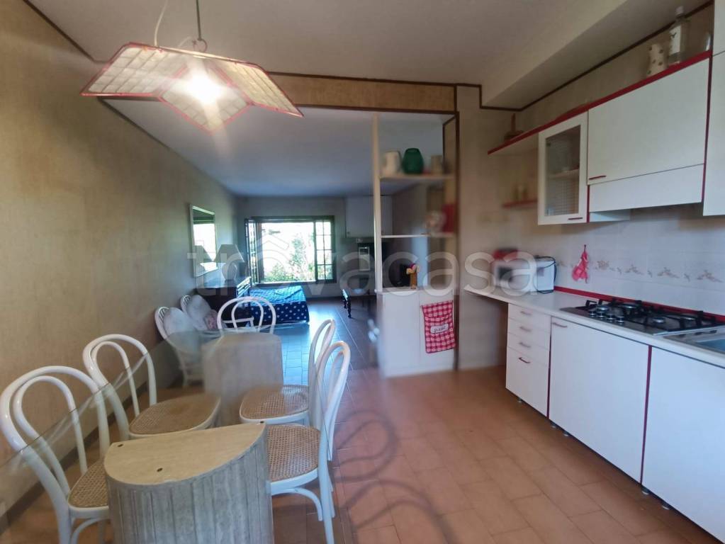 immagine annuncio 4 di 14