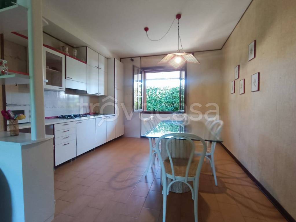 immagine annuncio 5 di 14