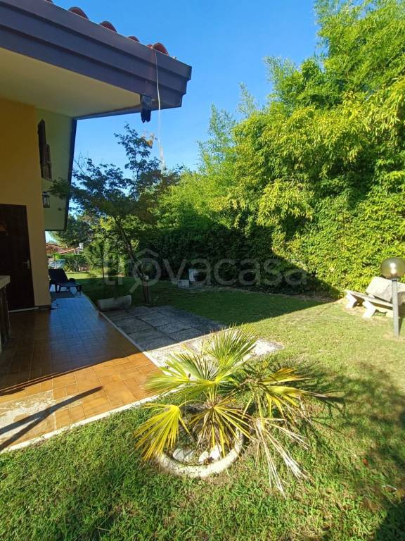 immagine annuncio 8 di 14