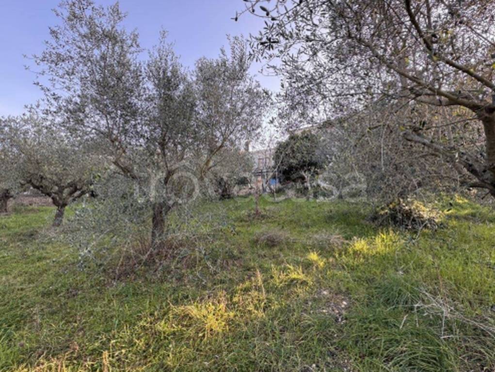 immagine annuncio 7 di 11