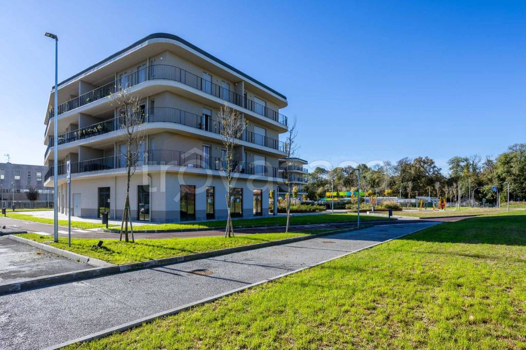 immagine annuncio 7 di 15