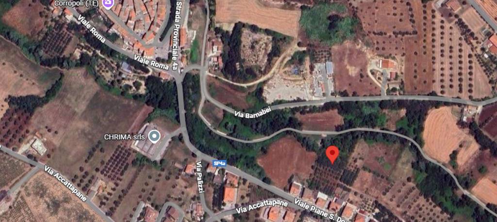 immagine annuncio 9 di 11