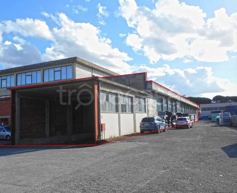 immagine annuncio 2 di 10