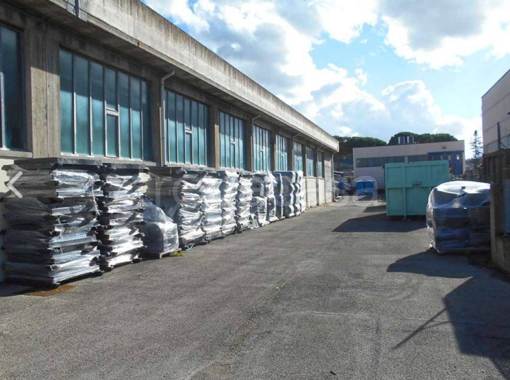 immagine annuncio 7 di 10