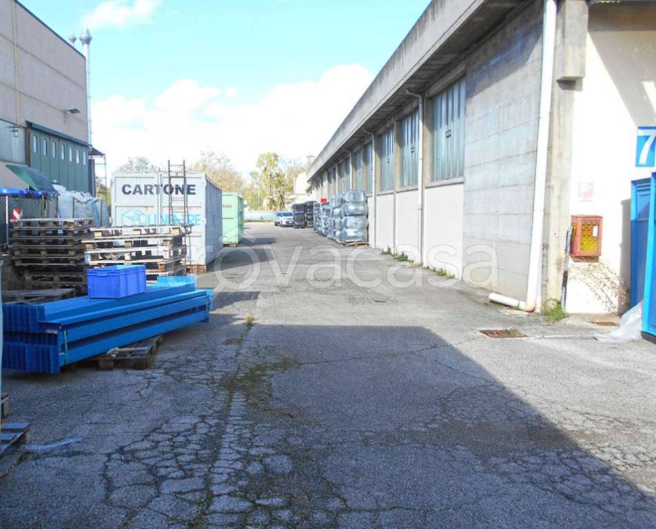 immagine annuncio 8 di 10