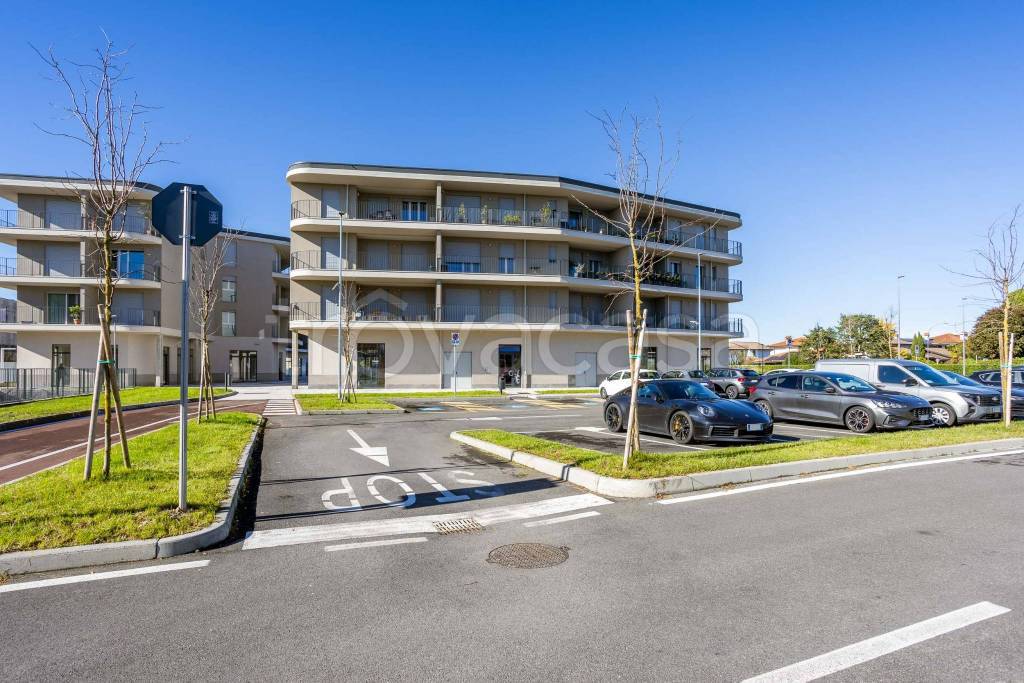 immagine annuncio 6 di 15