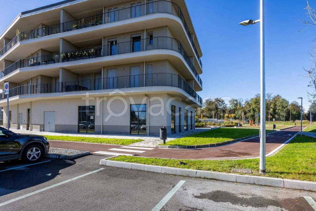 immagine annuncio 10 di 15