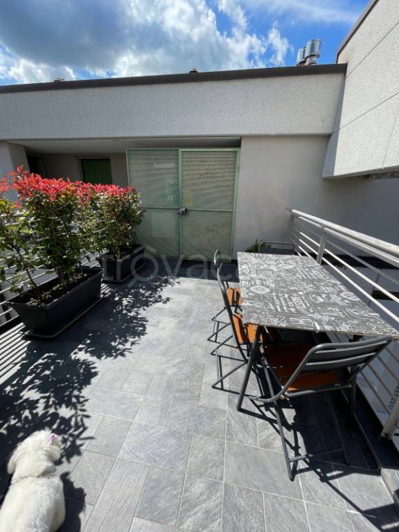 immagine annuncio 4 di 14