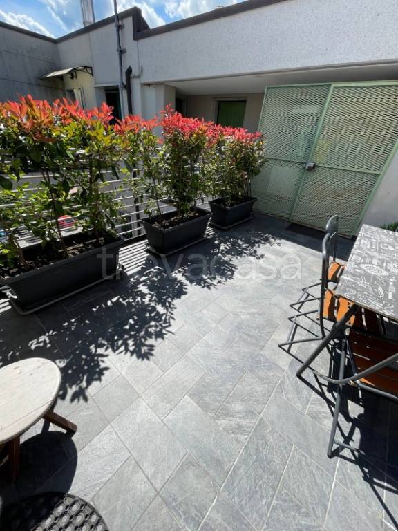 immagine annuncio 5 di 14