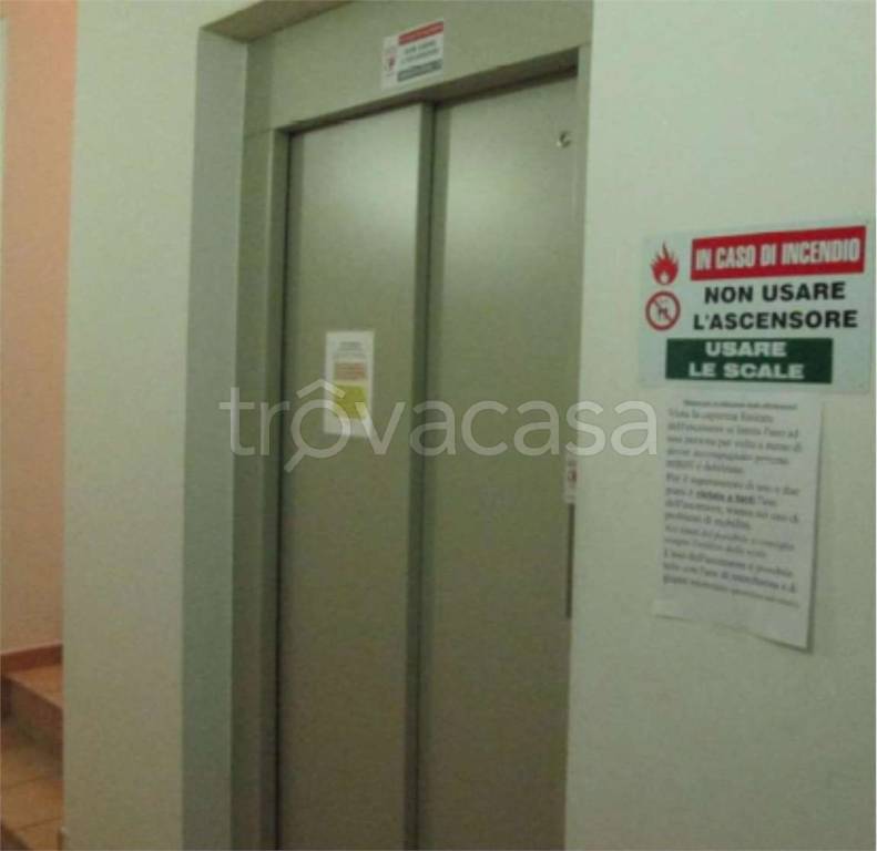 immagine annuncio 4 di 14