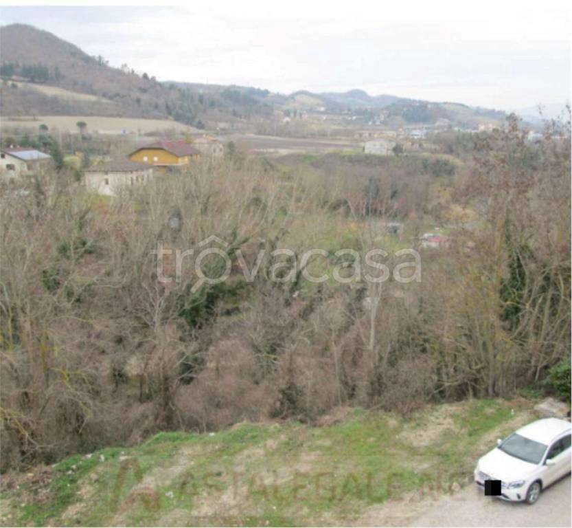 immagine annuncio 9 di 14