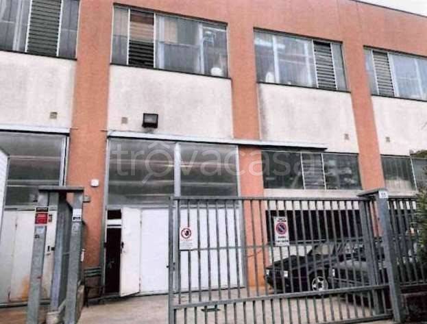 immagine annuncio 1 di 14