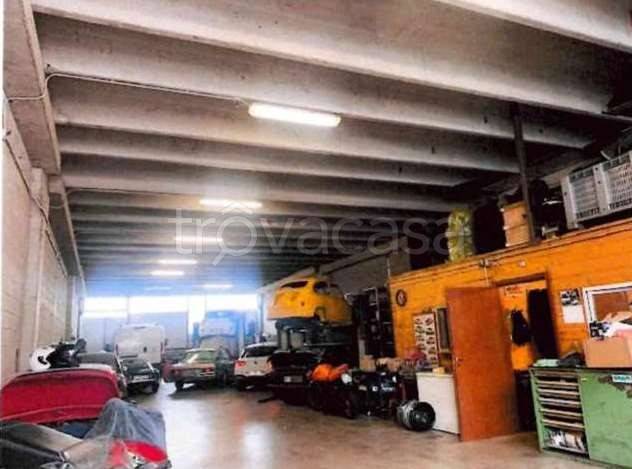 immagine annuncio 3 di 14