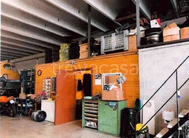 immagine annuncio 4 di 14